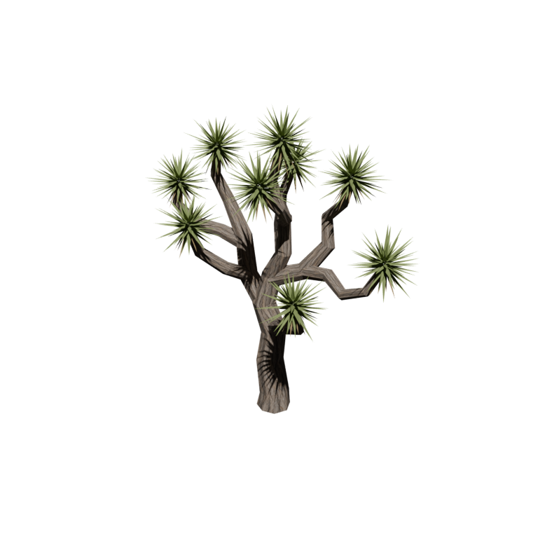 Low-Poly Joshua Tree — 6m / 1,984 tris